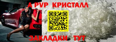 jwh Кингисепп