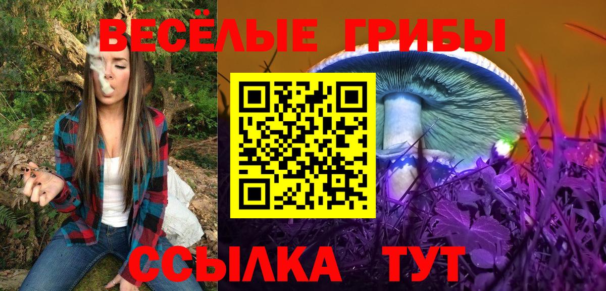 Псилоцибиновые грибы Psilocybine cubensis  Вход с VPN  Псилоцибиновые грибы Psilocybe  Куйбышев 